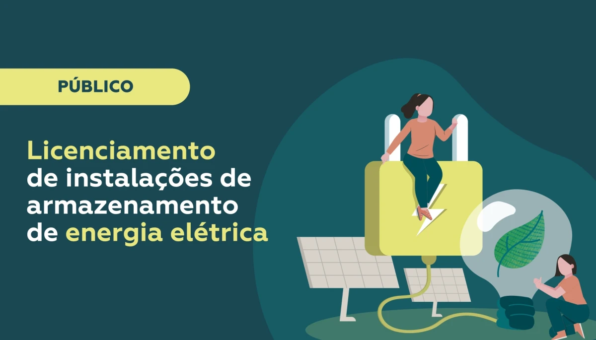 Licensing of electricity storage facilities