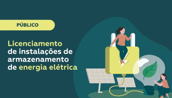 Licensing of electricity storage facilities